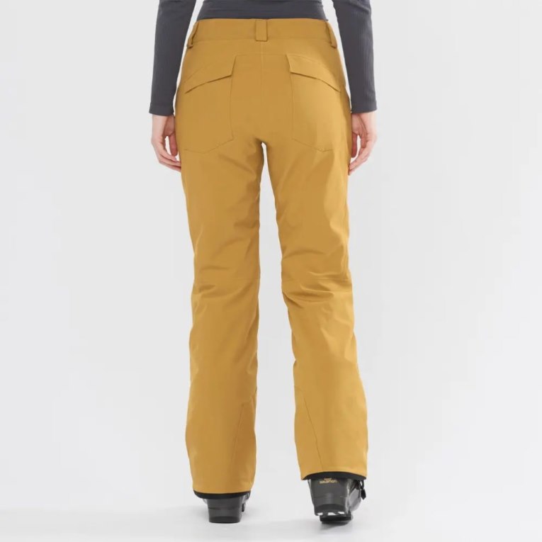 Brown Salomon Edge Women's Ski Pants | IE FB1239